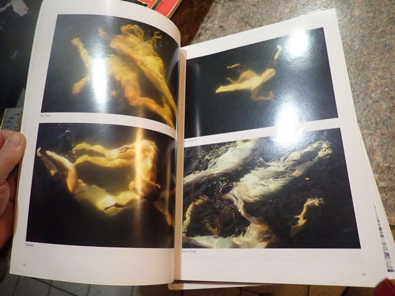 Holding Ground : The Best of Island Journal - 1984-2004 by Conkling, Philip + gallery