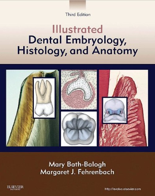Illustrated Dental Embryology, Histology, and Anatomy Paperback