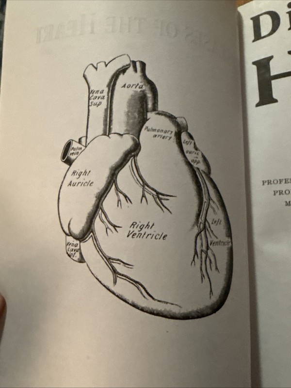 Diseases of the Heart by A L Blackwood MD 2001 PB B Jain Homeopathy gallery