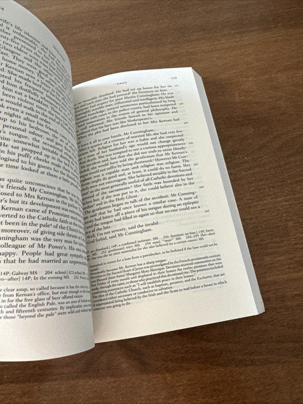 Dubliners Norton Critical Edition (Norton Critical Editions) Joyce GOOD NO MARKS gallery