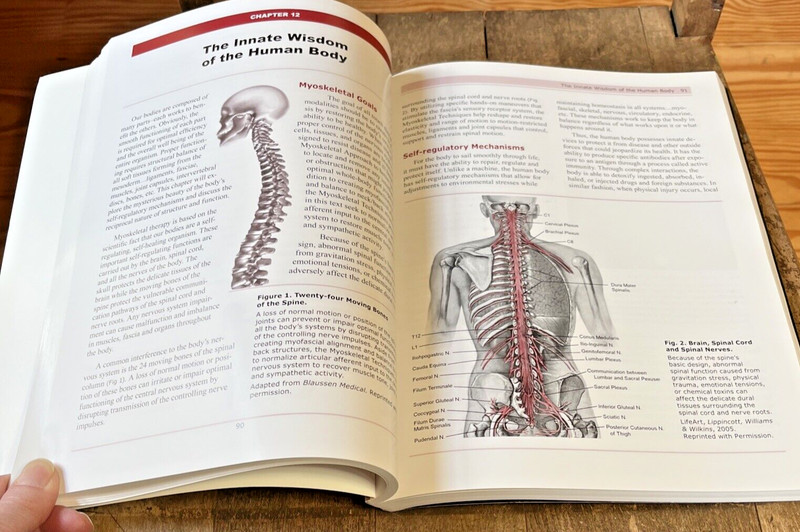 Advanced Myoskeletal Techniques by Erik Dalton (2005) Paperback gallery