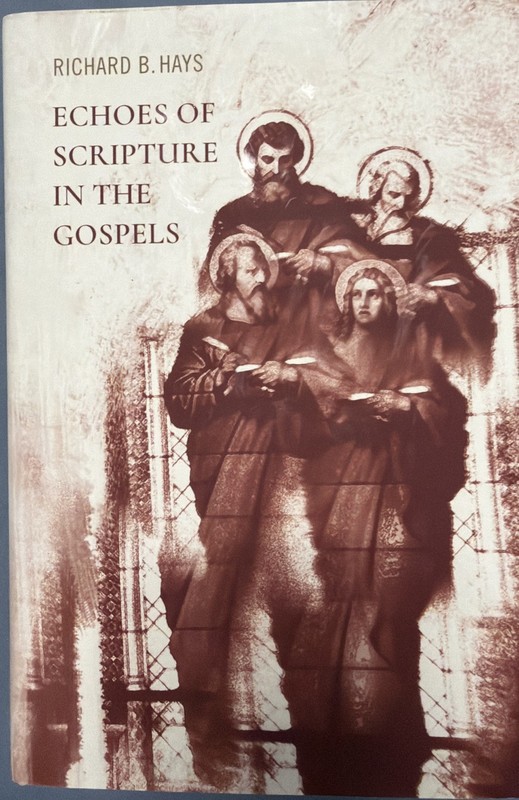 Echoes of Scripture in the Gospels by Richard B. Hays (2016, Hardcover)