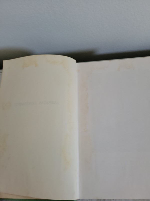 Magruder's American Government 1951 Allyn and Bacon gallery
