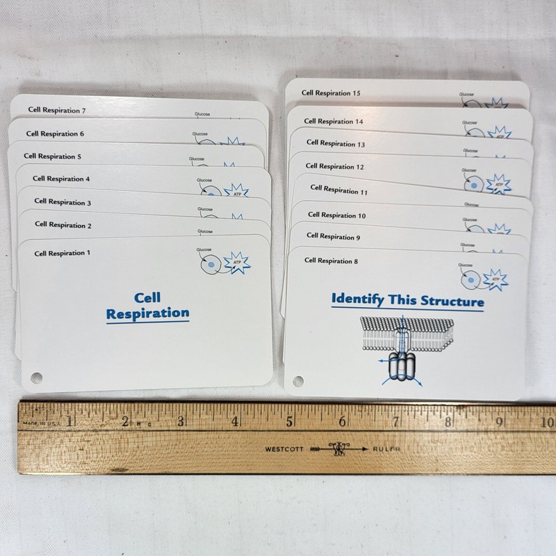 Barrons AP Biology FLASH CARDS 3rd Ed (c)2016 *MISSING Multiple Choice Questions gallery