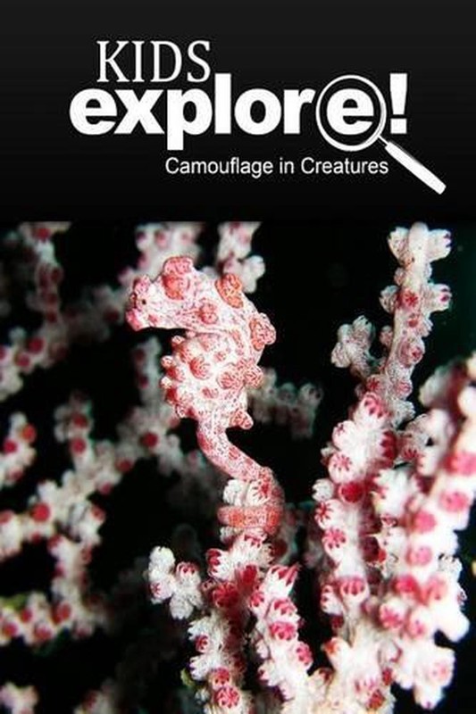 Camouflage In Creatures – Kids Explore: Animal books nonfiction – books ages 5-6