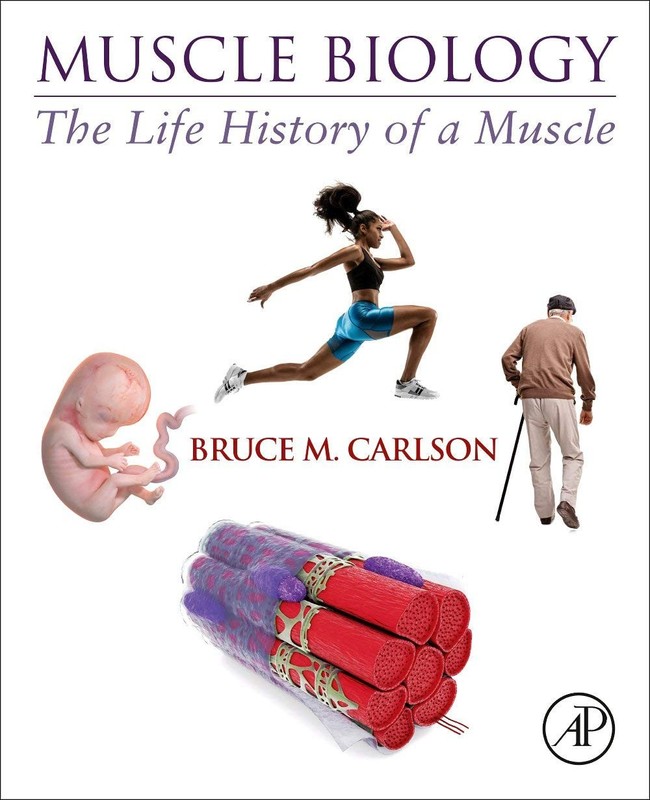 Muscle Biology: The Life History of a Muscle by Carlson MD PhD