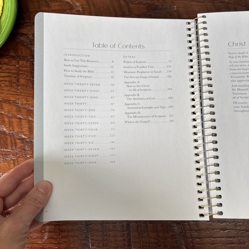 The Daily Grace Co "Christ In All Of Scripture" Volume 3 Spiral Bound Workbook gallery