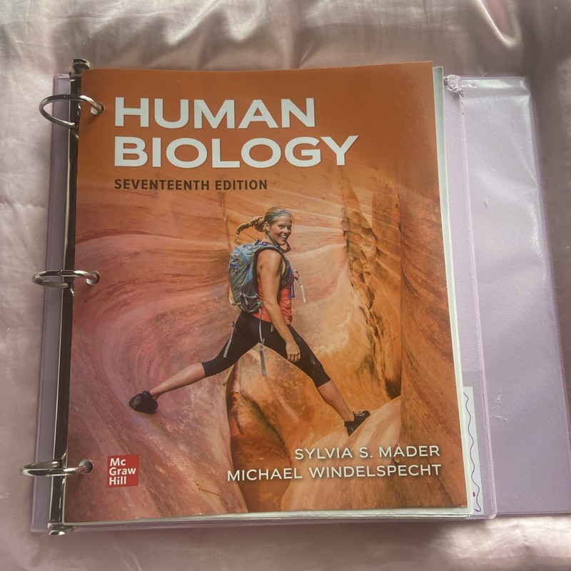 Loose Leaf for Human Biology – Loose Leaf, by Mader Sylvia S.; – Very Good