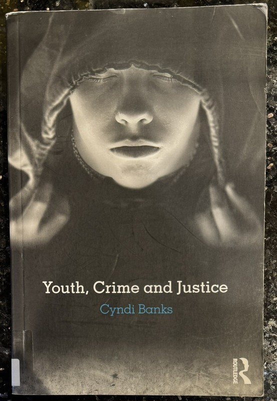 Youth, Crime and Justice by Cyndi Banks 2013 Paperback Free Shipping