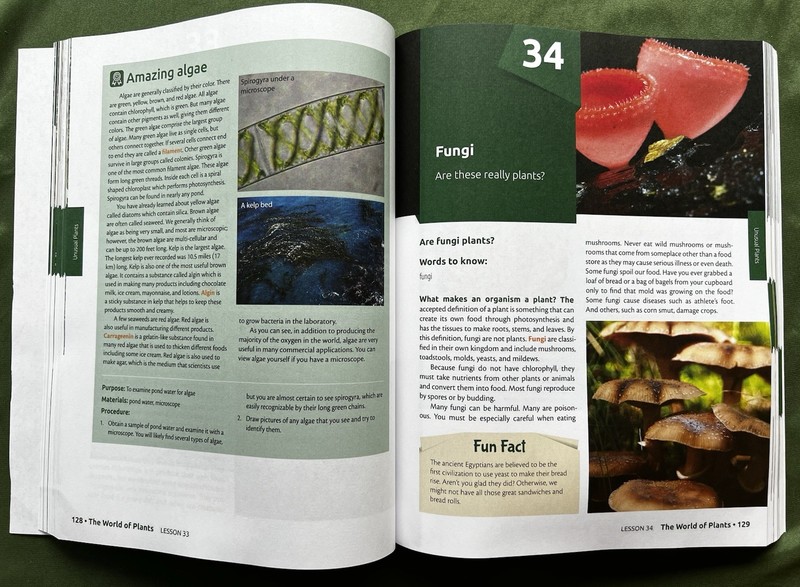 Masterbooks God’s Design For Life Set: Student & Teacher’s Guide Science Books gallery