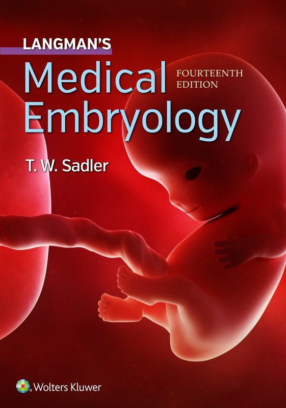 LANGMAN’S MEDICAL EMBRYOLOGY BY Dr. T.w. Sadler Phd PAPERBACK **ACCEPTABLE**