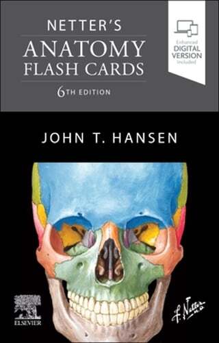 Netter’s Anatomy Flash Cards by PhD Hansen, John T: Used