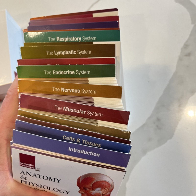 Anatomy & Physiology Flash Cards Scientific Publishing 335 Ct See pics For Cond gallery