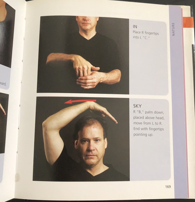 The Art Of Sign Language: Phrases By Christopher Brown gallery