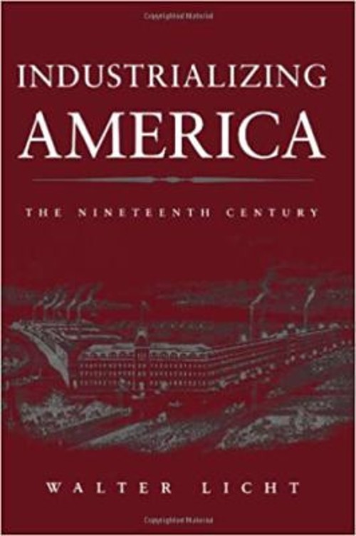Industrializing America : The Nineteenth Century Paperback Walter