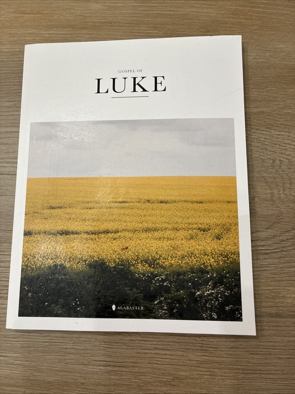 Gospel of Luke – Perfect Paperback By Alabaster Co – VERY GOOD