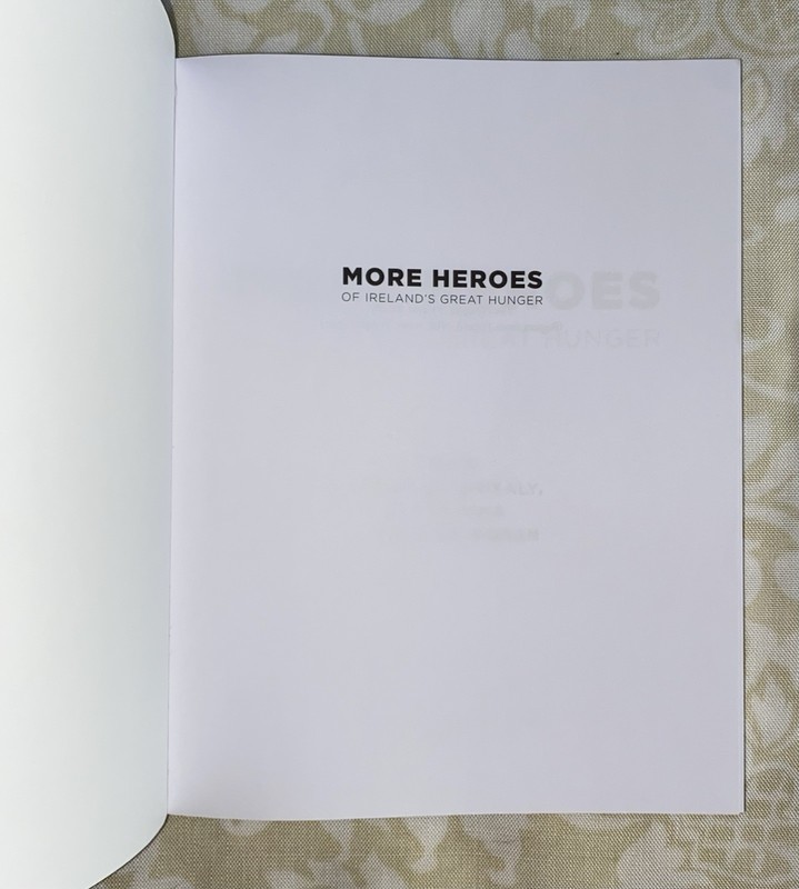 More Heroes of Ireland's Great Hunger by Christine Kinealy 2022 TPB gallery