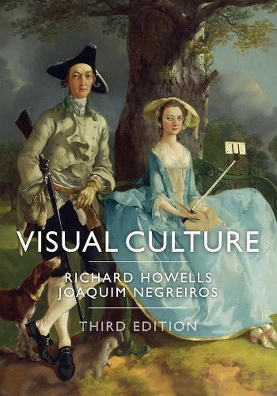 Visual Culture by Richard Howells (English) Paperback Book