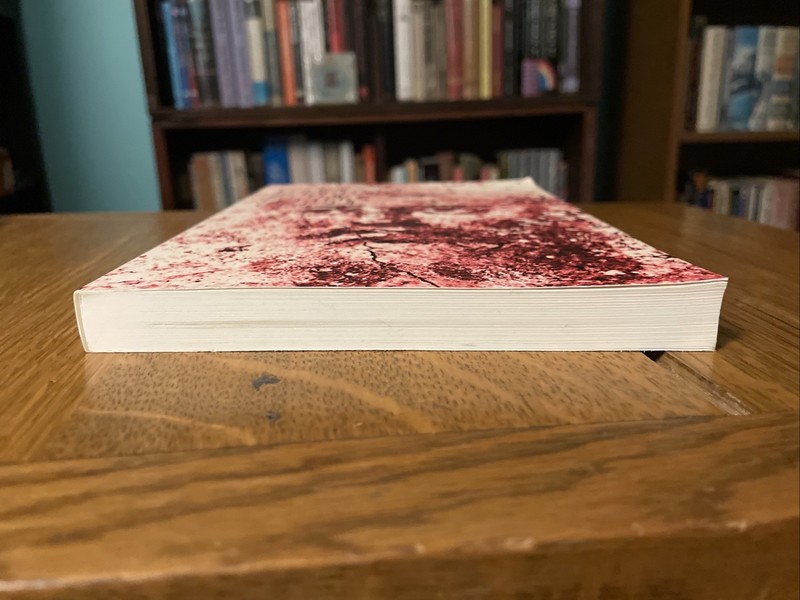 Richard B Hays: Echoes Of Scripture In The Letters Of Paul Tr Pbk Yale 1989 gallery