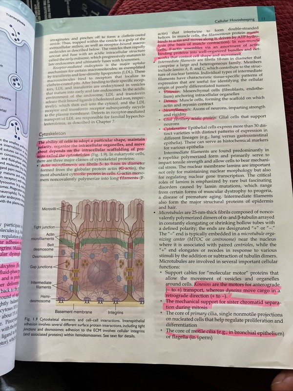 Robbins Pathology Ser.: Robbins Basic Pathology by Abul K. Abbas (2018) 10th ED gallery
