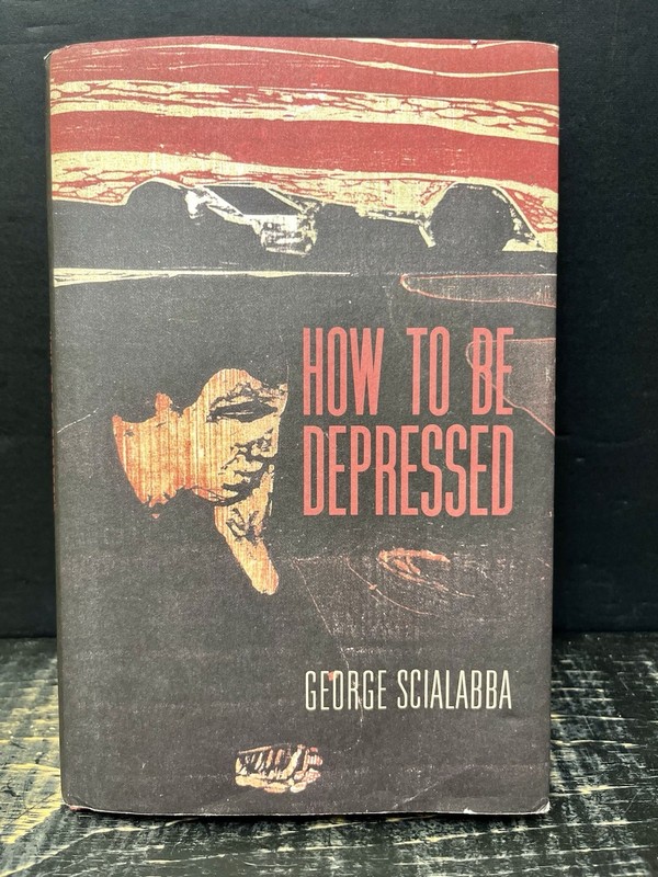 How to Be Depressed by George Scialabba (2020, Hardcover) Near Fine Q1