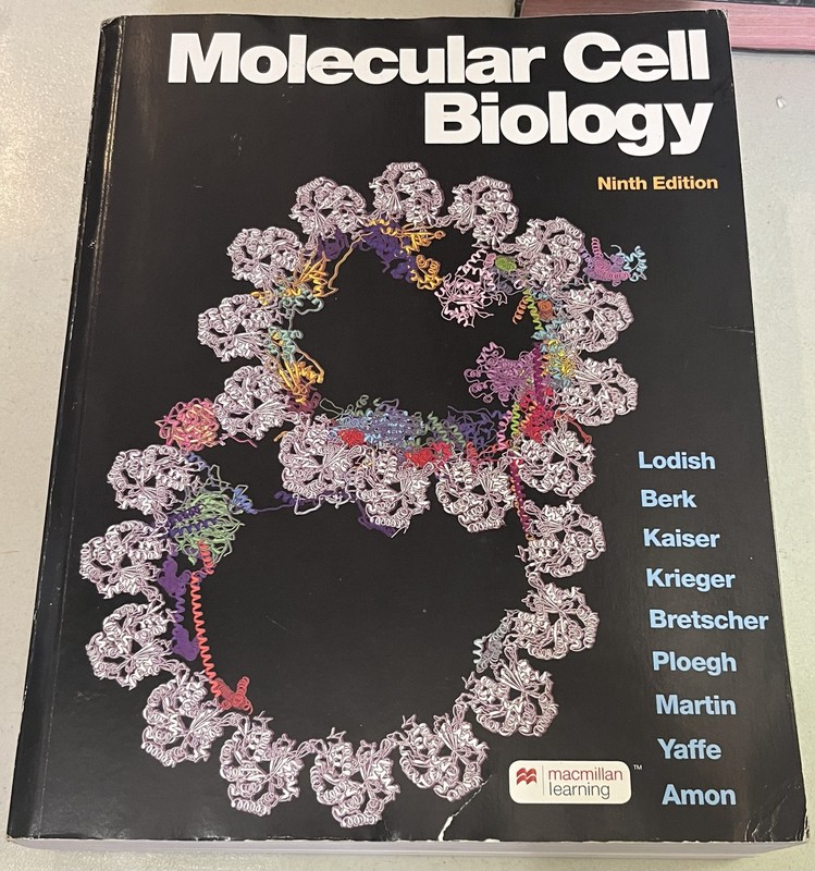 Molecular Cell Biology (842581)