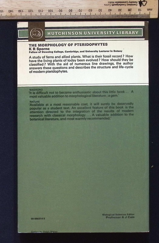 The Morphology of Pteridophytes: Structure of Ferns & Allied Plants K.R. Sporne gallery