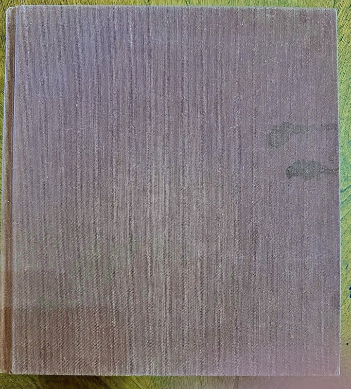 The New Archaeology and the Ancient Maya by Jeremy A. Sabloff (1990) gallery