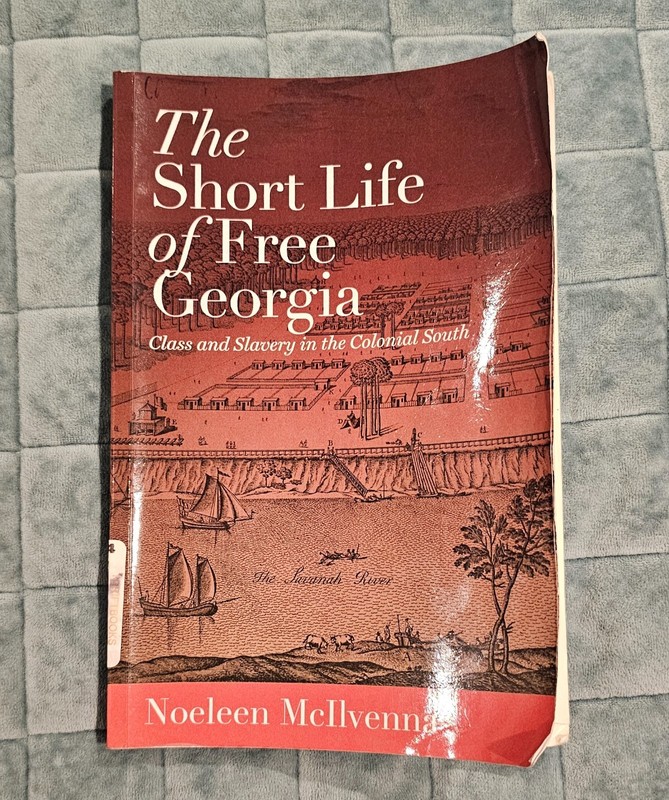 The Short Life of Free Georgia : Class and Slavery in the Colonial South