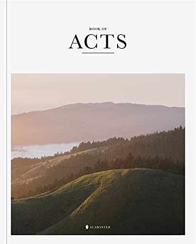 Book of Acts – Alabaster Bible – Paperback, by Alabaster Co. – Very Good