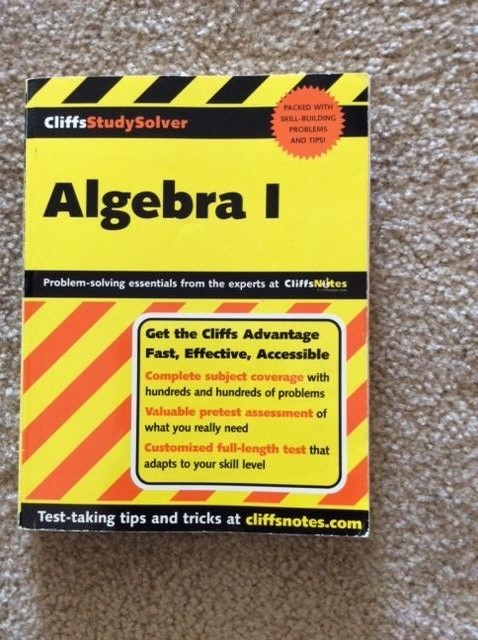 Algebra I Essentials for Dummies by Mary Jane Sterling (2003, Paperback)