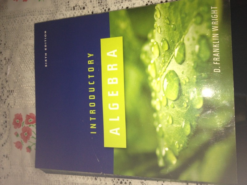 Introductory Algebra 6th ed Text Only Softcover