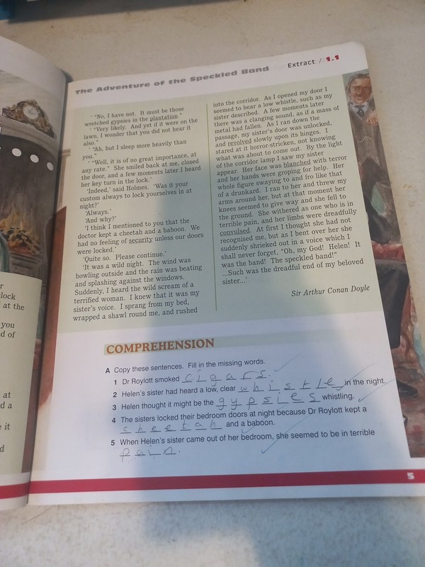 Nelson Thornes Framework English Access - Skills in Fiction 2: 2 by Wendy Wren gallery