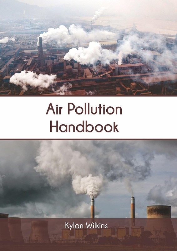 Air Pollution Handbook [Hardcover]
