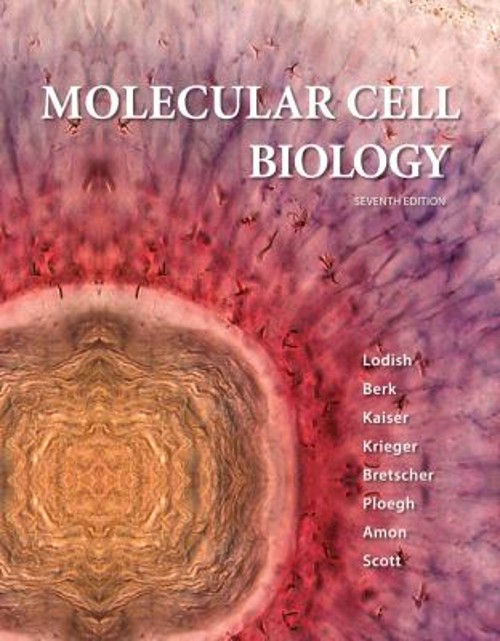 Molecular Cell Biology Hardcover