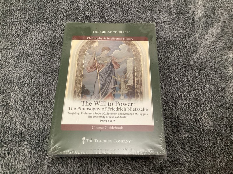 Will to Power : The Philosophy of Friedrich Nietzsche by Kathleen Marie Higgins
